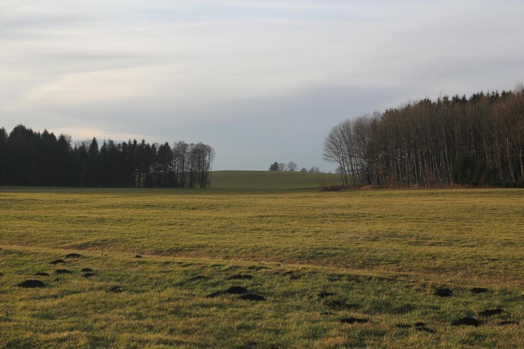 Gasthof Landhotel Hirsch Ostrach Eksteriør billede