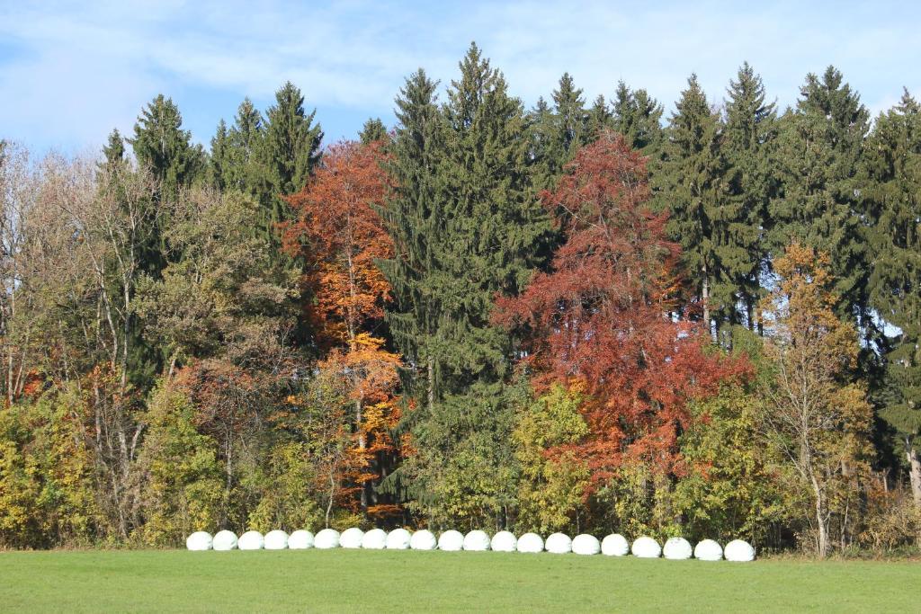 Gasthof Landhotel Hirsch Ostrach Eksteriør billede